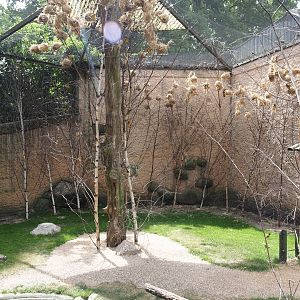 Walk-through aviary for Village weaver and Spotted dikkop, 2025-05-22