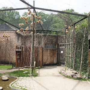 Walk-through aviary for Village weaver and Spotted dikkop, 2025-05-22