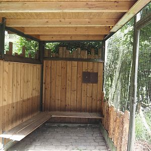 Sitting area in the walk-through aviary for Village weaver and Spotted dikkop, next to the Edward's pheasant aviary, 2025-05-22