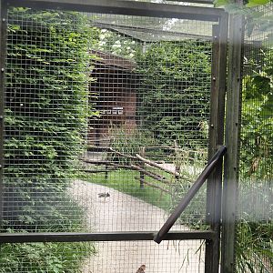 Walk-through aviary for European wading birds (Closed at the time of my visit due to breeding season), 2025-05-22