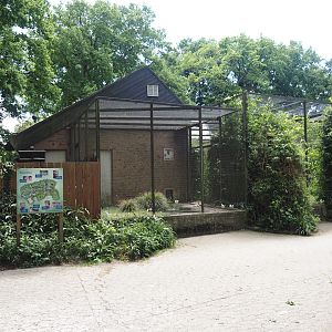 Side aviary of the walk-through aviary for European wading birds, 2025-05-22