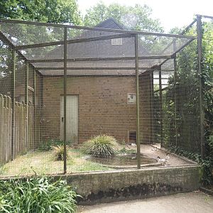 Side aviary of the walk-through aviary for European wading birds, 2025-05-22