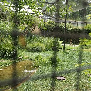 Walk-through aviary for European wading birds (Closed at the time of my visit due to breeding season), 2025-05-22