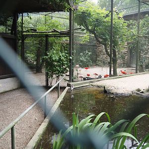 Closed walk-into area next to the waldrapp and stilt aviary, and separation aviary for Walk-through wetland aviary, 2025-05-22