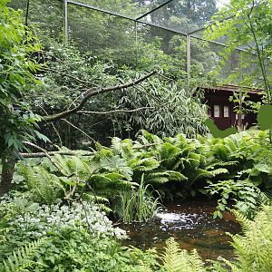 Large wetland walk-through aviary, 2025-05-22