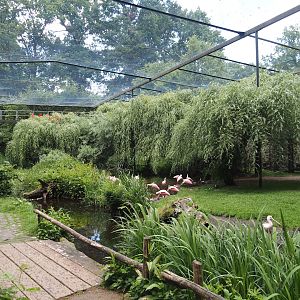 Large wetland walk-through aviary, 2025-05-22