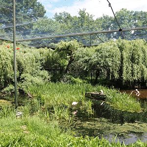 Large wetland walk-through aviary, 2025-05-22