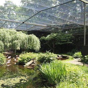 Large wetland walk-through aviary, 2025-05-22