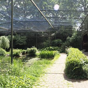 Large wetland walk-through aviary, 2025-05-22