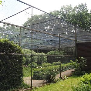 Large wetland walk-through aviary, 2025-05-22