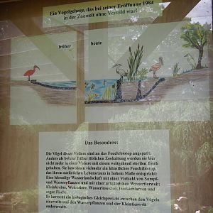 Structure of the pond in the large wetland walk-through aviary signage, 2025-05-22