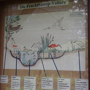 Structure of the pond in the large wetland walk-through aviary signage, 2025-05-22