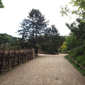 Walkway towards penguins, seals and bears, 2025-05-22