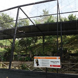 Refurbished Brahminity Kite aviary
