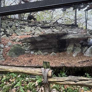 Striped Skunk Habitat