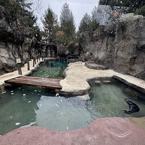 Southern Sea Otter Exhibit
