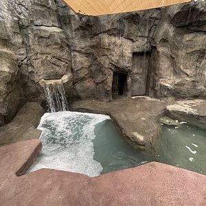 Southern Sea Otter Exhibit