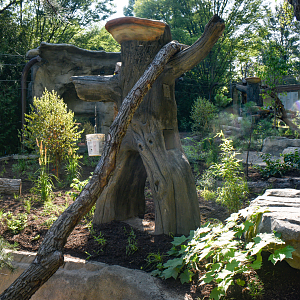 Aug. 2025 - NEW! Bear Ridge - Pre-Opening