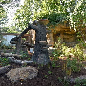 Aug. 2025 - NEW! Bear Ridge - Pre-Opening