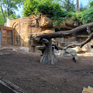 Jun. 2025 - NEW! Bear Ridge Construction