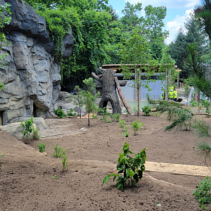 Aug. 2025 - NEW! Bear Ridge Construction