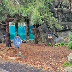 Nov. 2025 - NEW! Sea Otter Coast - Lower Entrance