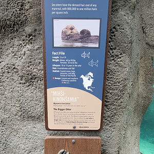 Nov. 2025 - NEW! Sea Otter Coast - Southern Sea Otter Signage