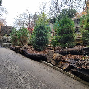 Nov. 2025 - NEW! Sea Otter Coast - Upper Entrance