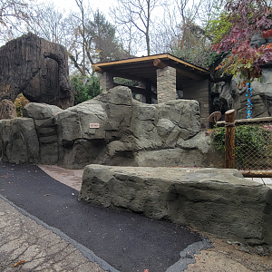 Nov. 2025 - NEW! Sea Otter Coast - Upper Entrance