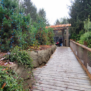 Nov. 2025 - NEW! Sea Otter Coast - Upper Entrance