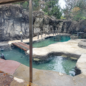 Nov. 2025 - NEW! Sea Otter Coast - Southern Sea Otter Exhibit