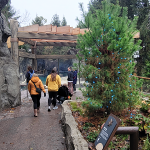 Nov. 2025 - NEW! Sea Otter Coast - Upper Viewing