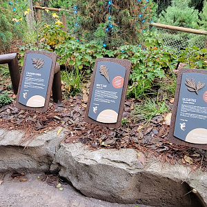 Nov. 2025 - NEW! Sea Otter Coast - Upper Viewing Foliage Signage