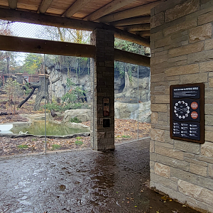 Nov. 2025 - NEW! Bear Ridge - Black Bear Lower Viewing