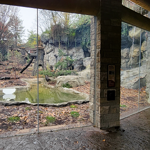 Nov. 2025 - NEW! Bear Ridge - Black Bear Lower Viewing