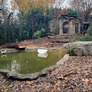 Nov. 2025 - NEW! Bear Ridge - Black Bear Lower Viewing