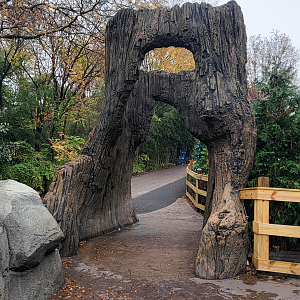 Nov. 2025 - NEW! Bear Ridge - Lower Entrance (Facing Uphill)