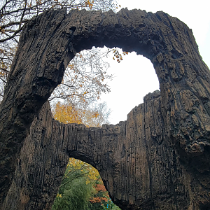 Nov. 2025 - NEW! Bear Ridge - Lower Entrance (Facing Uphill)