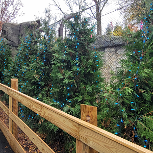 Nov. 2025 - NEW! Bear Ridge - Side View