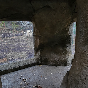 Nov. 2025 - NEW! Bear Ridge - Cave View (Inaccessible For Now)