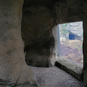 Nov. 2025 - NEW! Bear Ridge - Cave View (Inaccessible For Now)