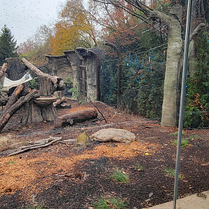 Nov. 2025 - NEW! Bear Ridge - Black Bear Upper Viewing