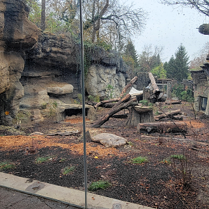 Nov. 2025 - NEW! Bear Ridge - Black Bear Upper Viewing