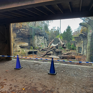 Nov. 2025 - NEW! Bear Ridge - Black Bear Upper Viewing