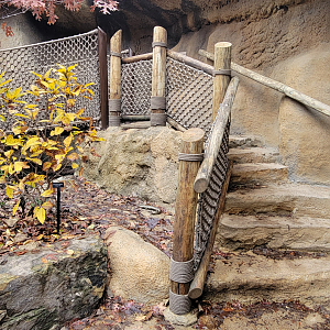 Nov. 2025 - NEW! Bear Ridge - Adventure Trail Bridge