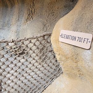 Nov. 2025 - NEW! Bear Ridge - Adventure Trail Bridge