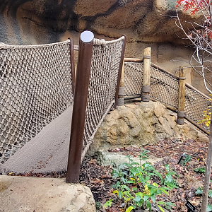 Nov. 2025 - NEW! Bear Ridge - Adventure Trail Bridge