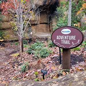 Nov. 2025 - NEW! Bear Ridge - Adventure Trail Entrance