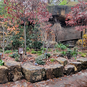 Nov. 2025 - NEW! Bear Ridge - Adventure Trail Garden