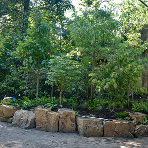 Aug. 2025 - NEW! Bear Ridge - Adventure Trail (Pre-Opening)